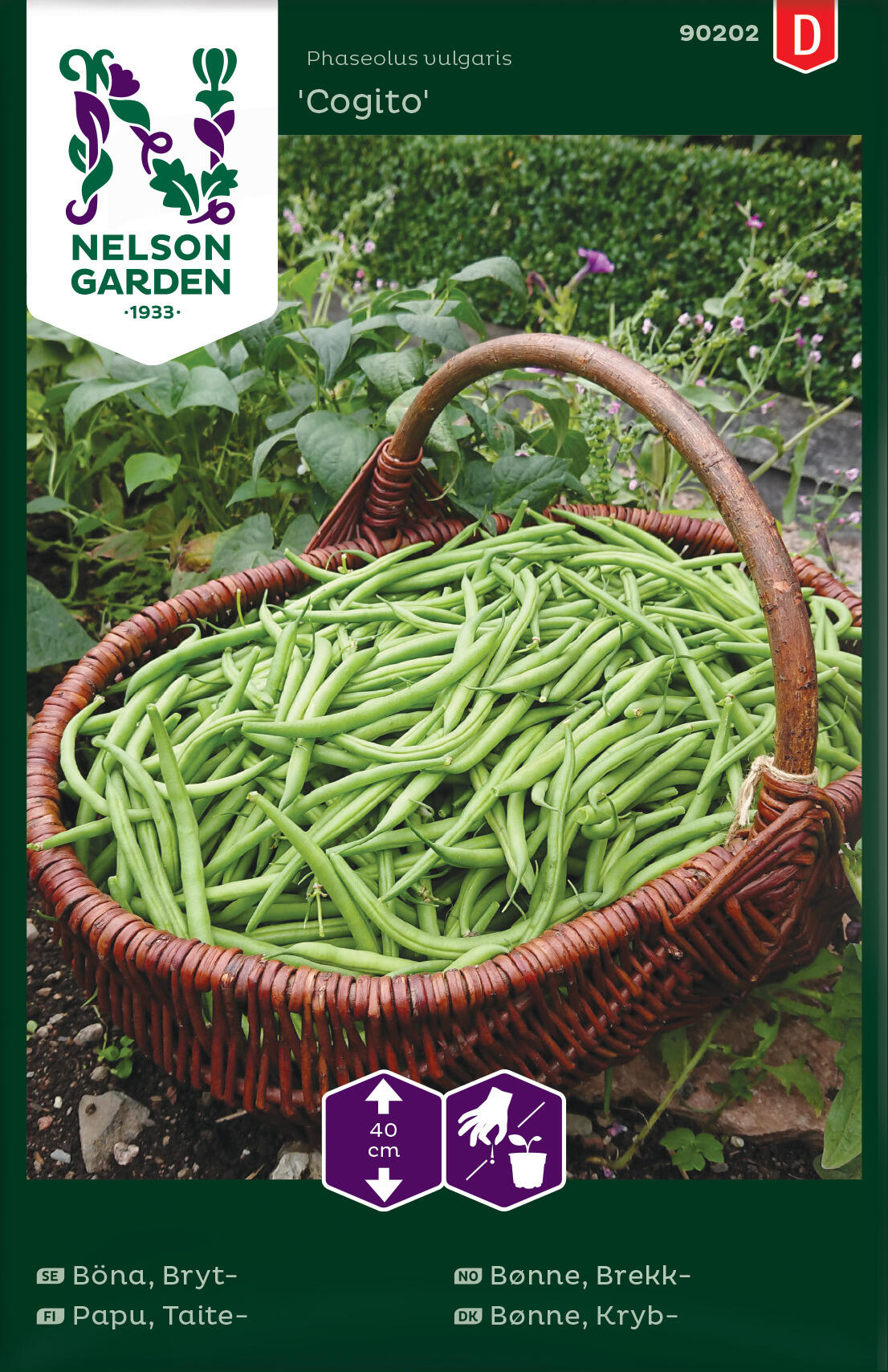 Brekkbønne 'Cogito'